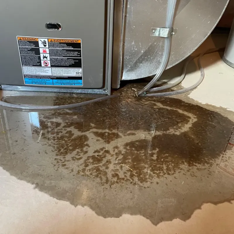 Appliance Leak Cleanup in Berne, IN